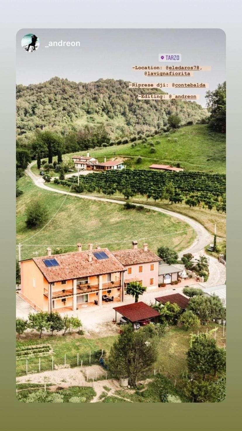 La Vigna Fiorita B&B Tarzo Dış mekan fotoğraf